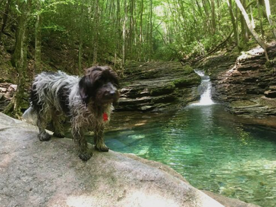 finding hidden swimming holes near the tri-state border