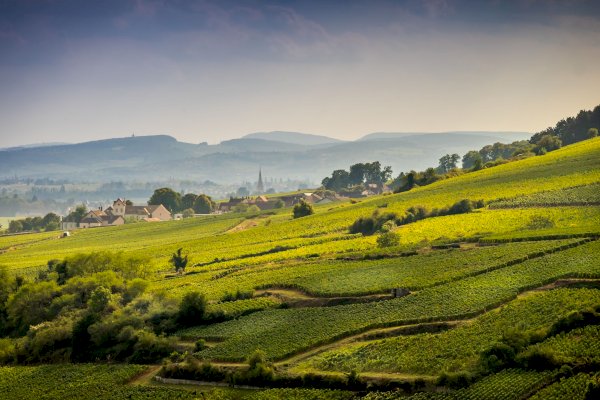 rediscovering wine: old world charm vs. modern tasting tours
