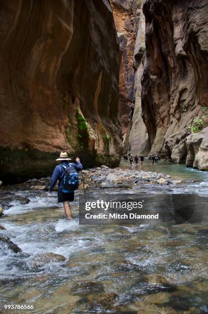 walking the narrows: memories, change, and community debate