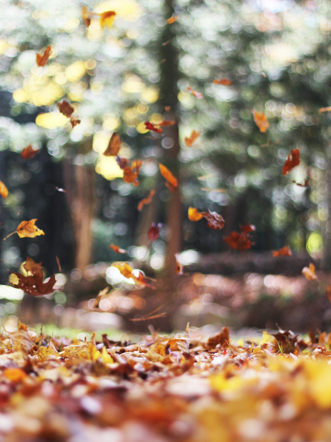 should i hike with a sore knee this fall?