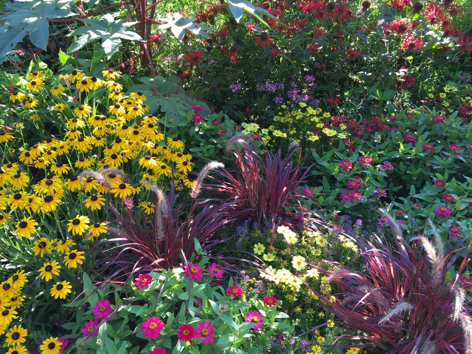when old gardens meet new trends: whose roots run deeper?