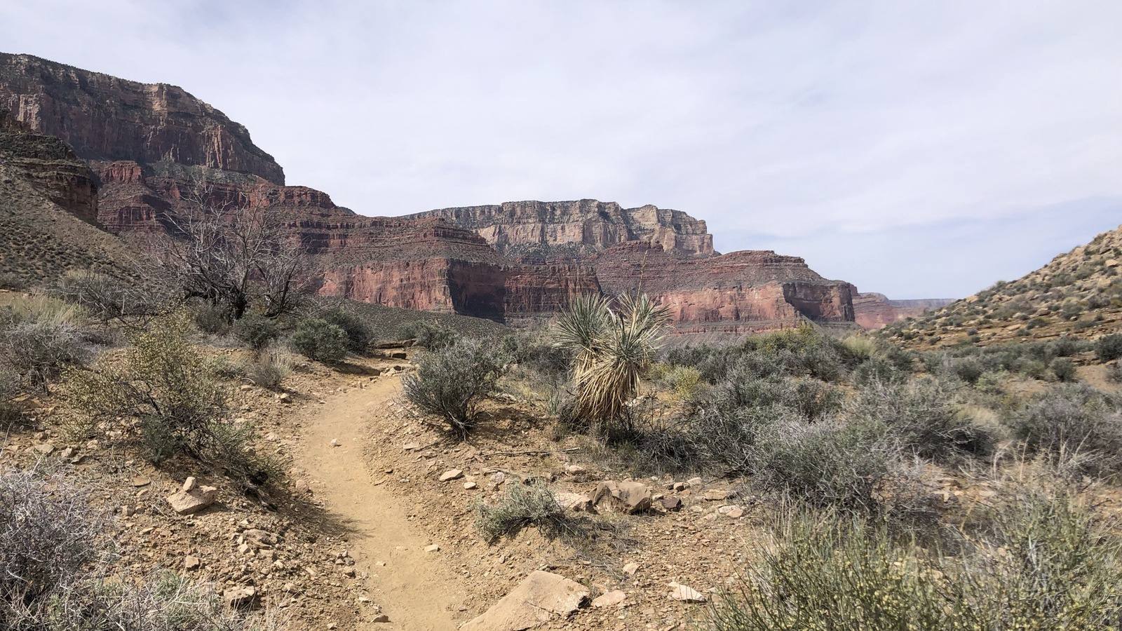 unexpected surprises at the grand canyon