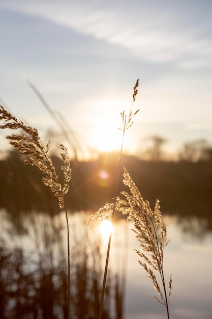 Finding Gratitude in the Little Moments Today