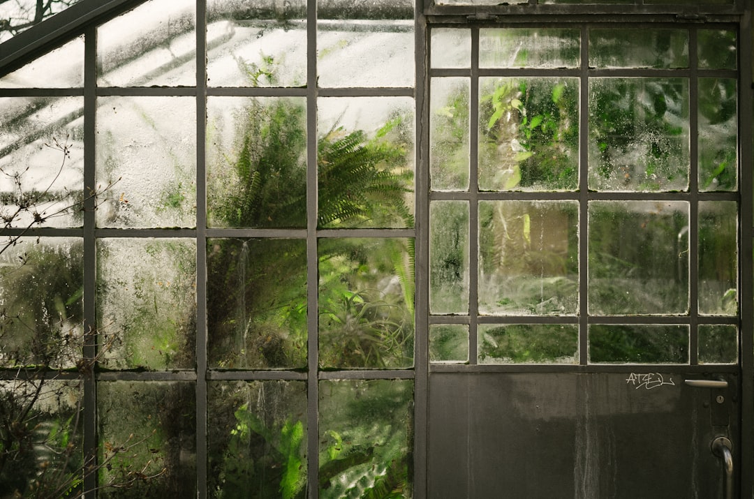 strawberry thieves: old wisdom vs. new solutions in our greenhouse
