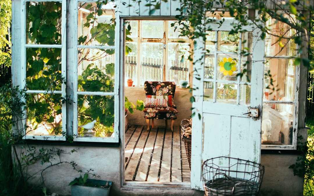 vertical zucchini: tradition meets modern gardening