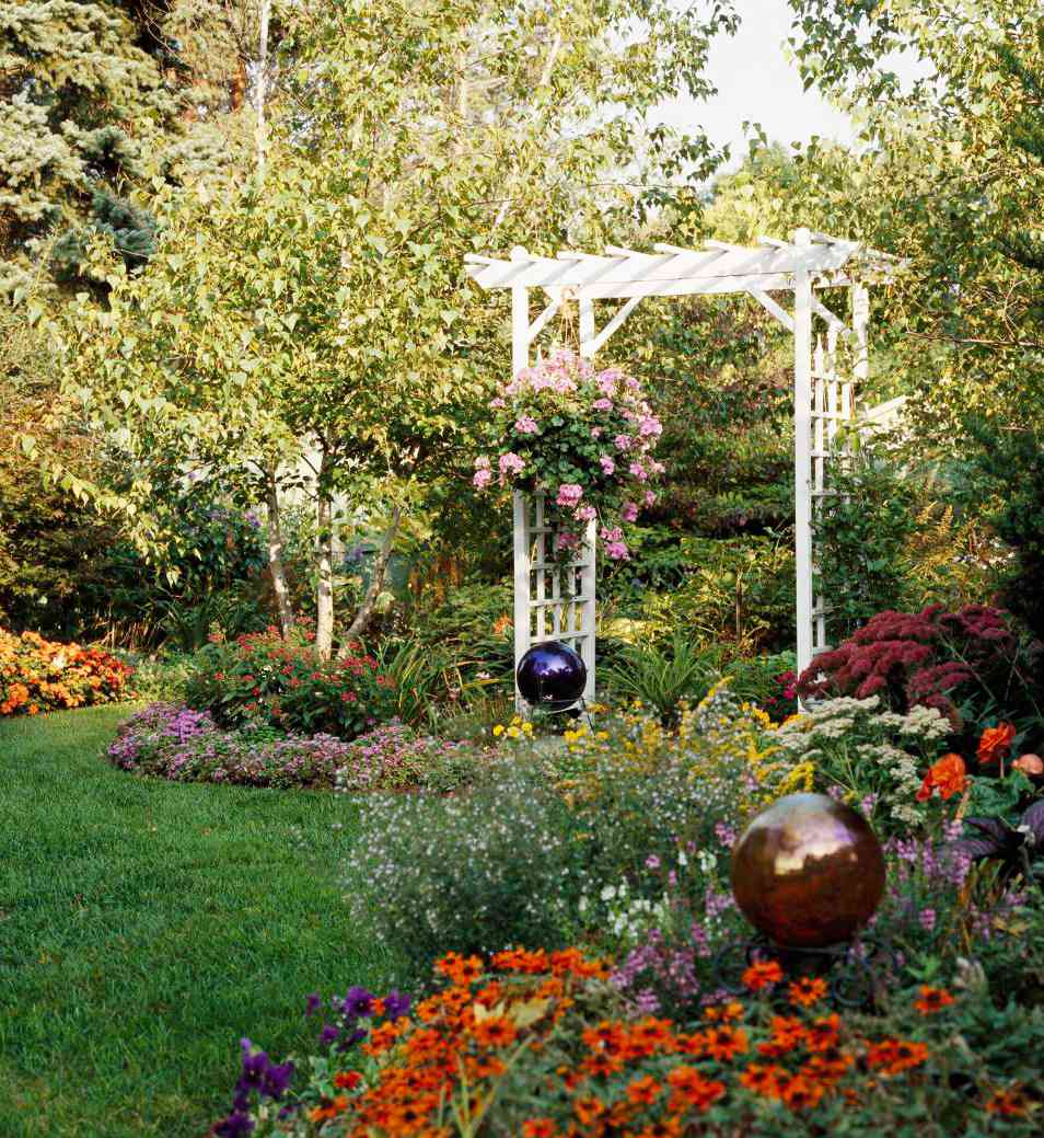 finding peace in my backyard garden