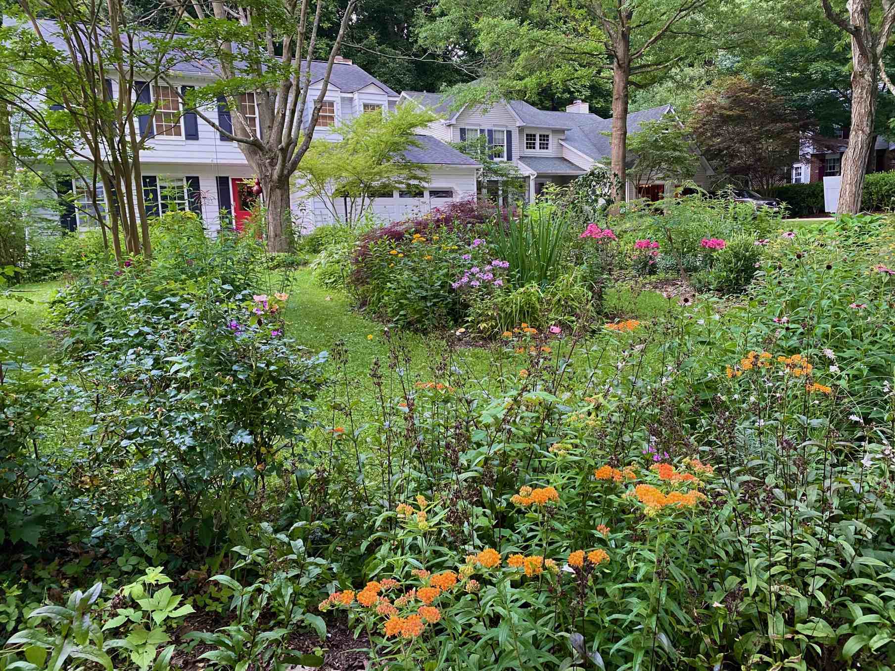 when butterflies meet tradition in our backyard gardens