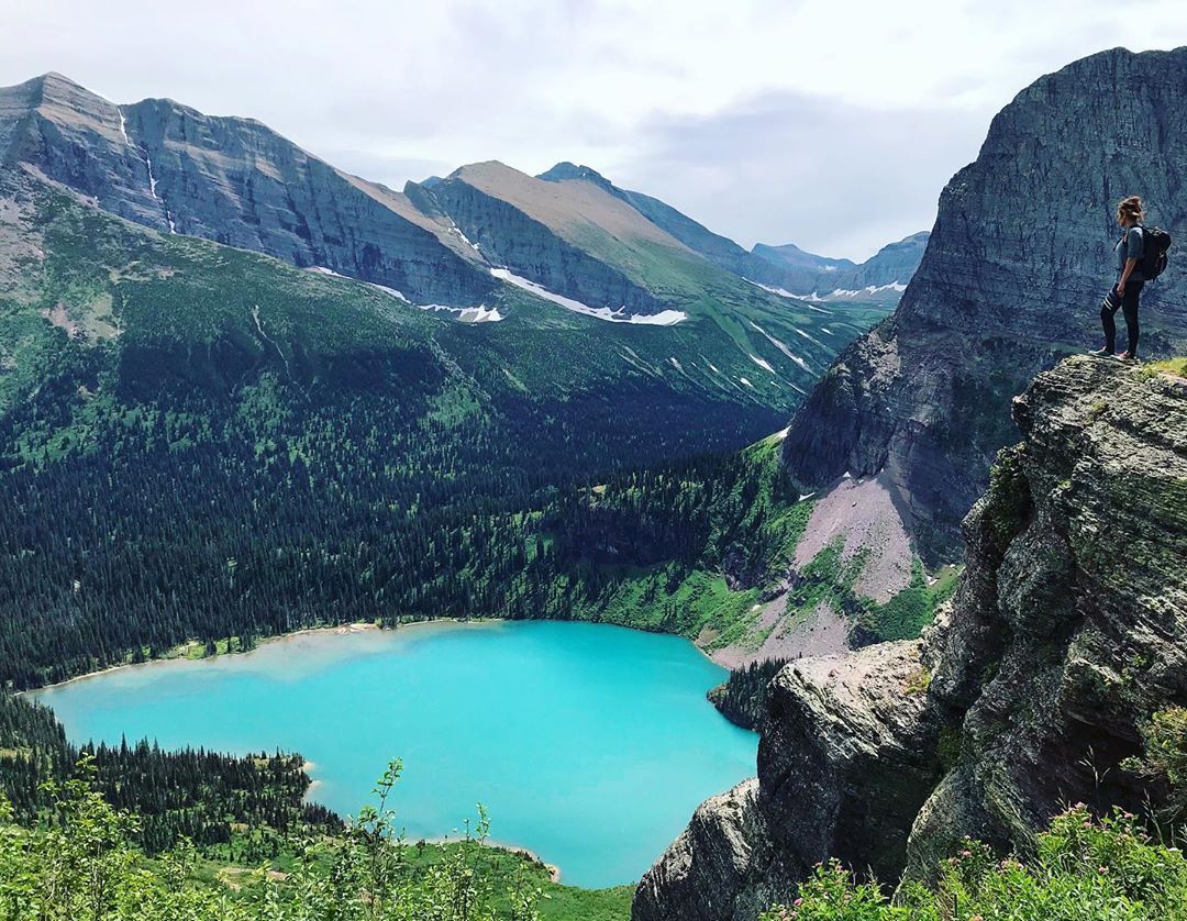 saw my first grizzly at glacier national park