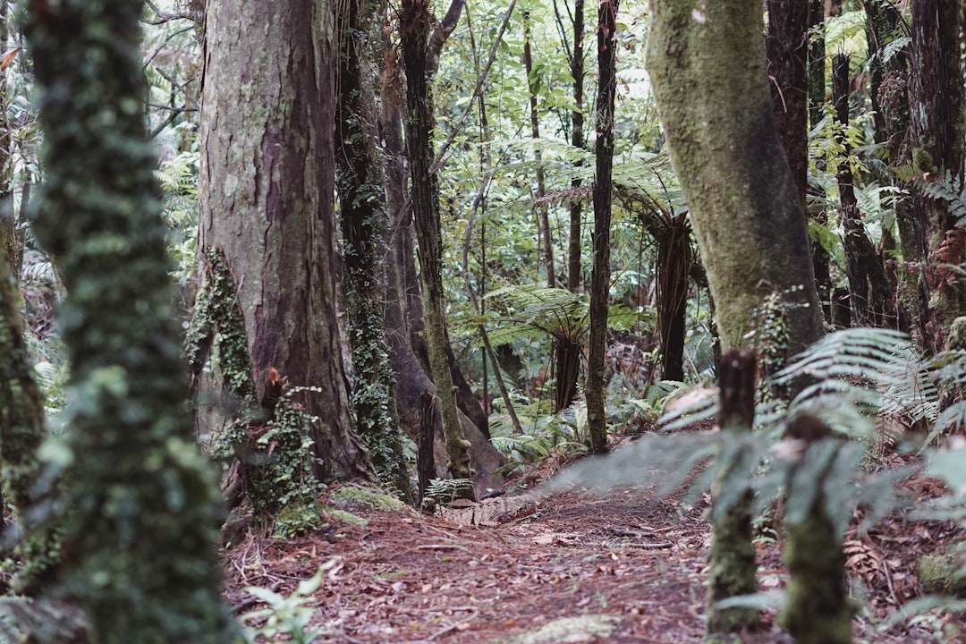 why do i get stomach cramps after hiking?