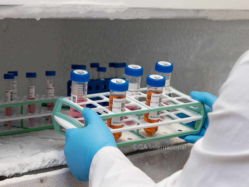 Unlocking the Secret to Eternal Bacteria: Glycerol Stock Magic