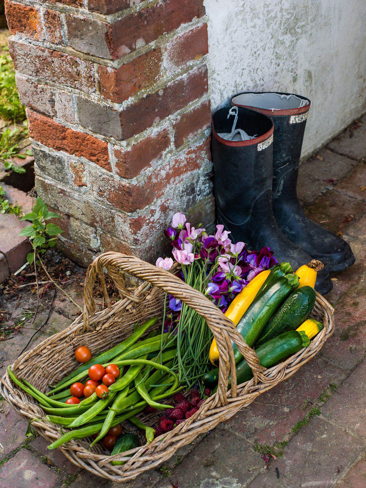 old ways vs. new tricks: a summer squash story