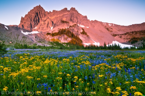 hiking canyon creek meadows: too beautiful to leave