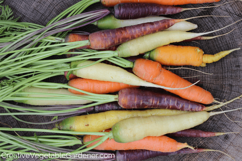 how did i finally get carrots to grow after years of fails?