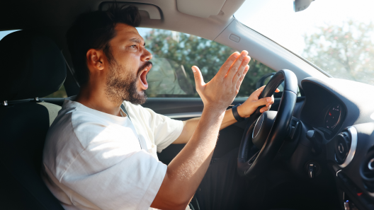 Small Acts, Big Difference: Everyday Roadside Heroes