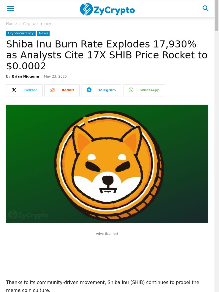 SHIB Burn Frenzy: Meme Coin Mania?