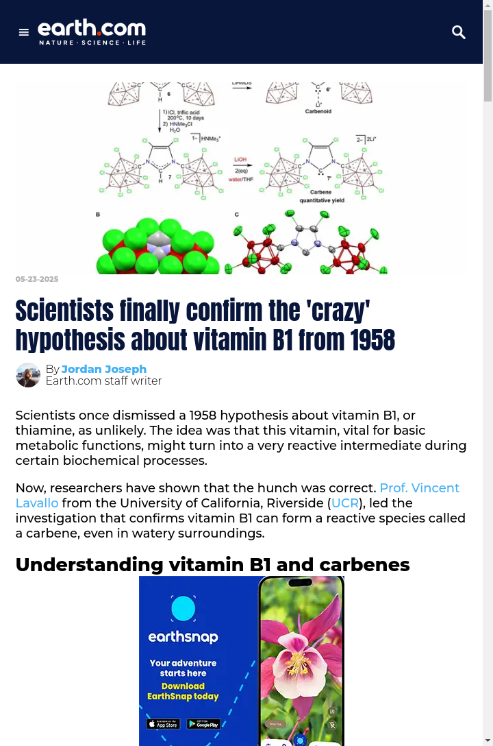 Vitamin B1’s Wild Secret Finally Proven
