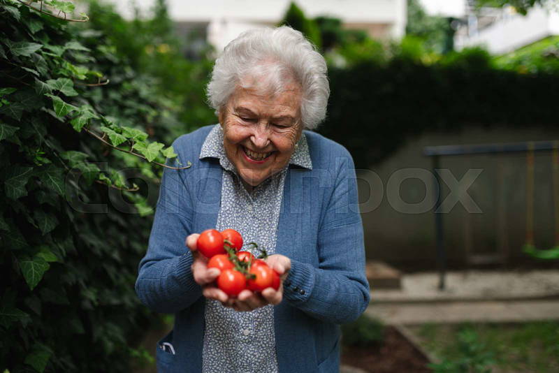harvesting memories: old ways vs. new in my summer garden