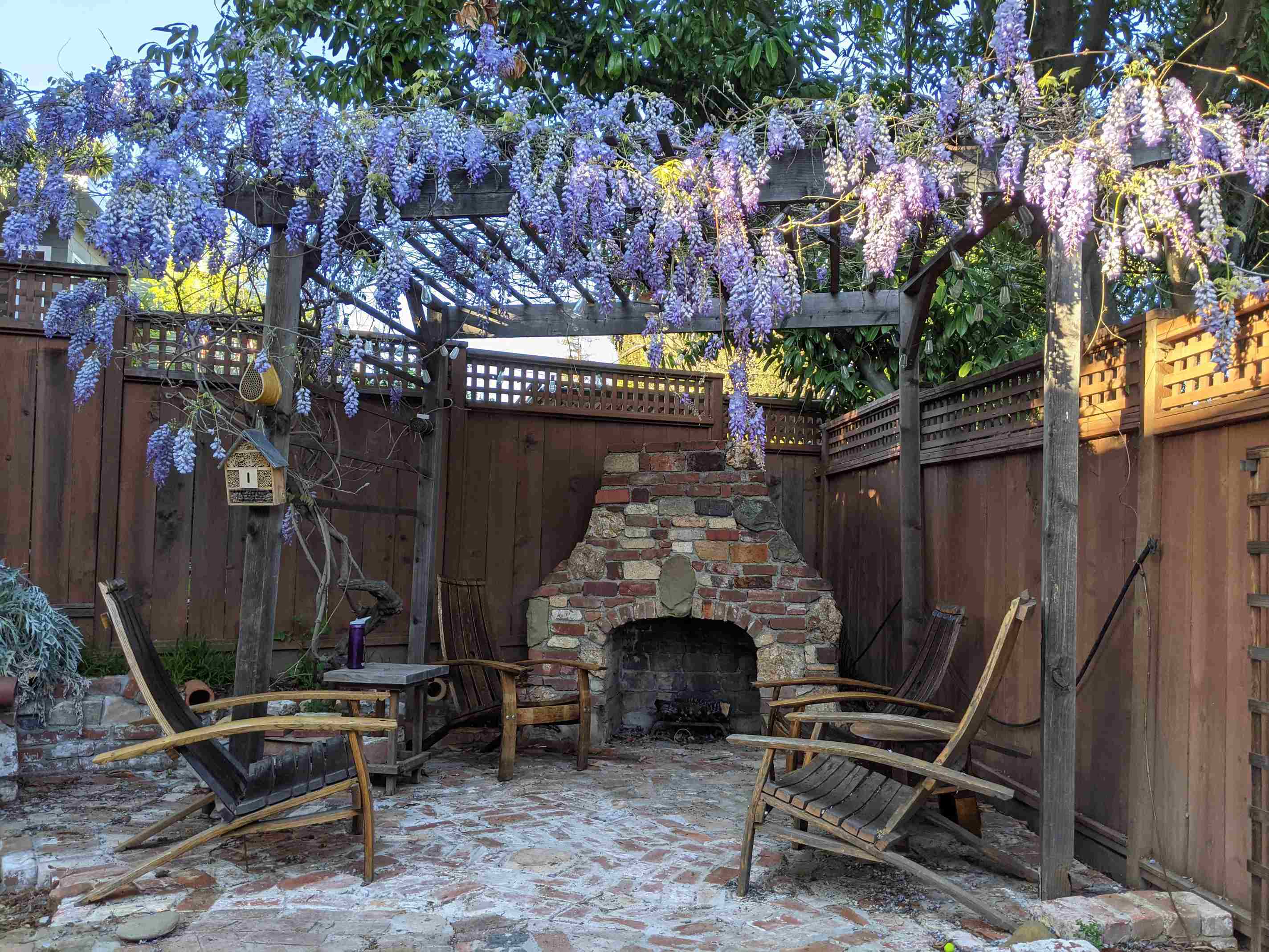 when wisteria blooms: memories, change, and neighborhood debates