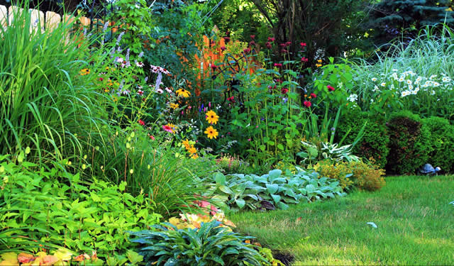 finding comfort in the backyard: old gardens vs. new trends