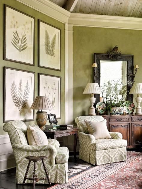 a day with my houseplants: old wisdom vs. new trends