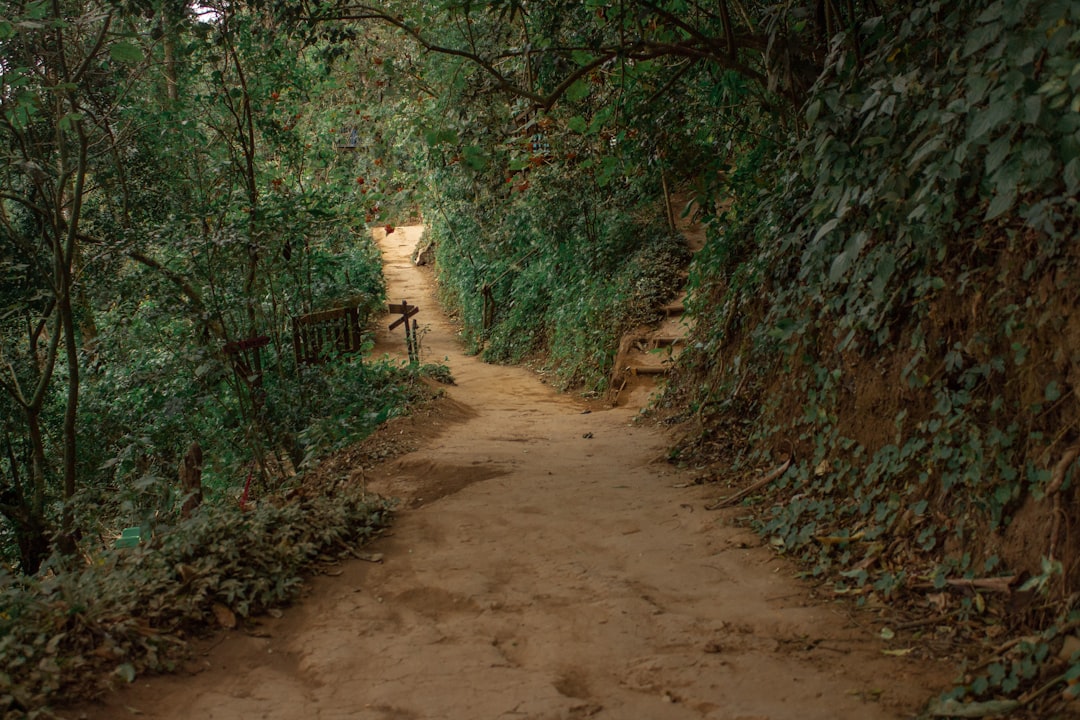 is it safe to take overnight shuttles in guatemala?