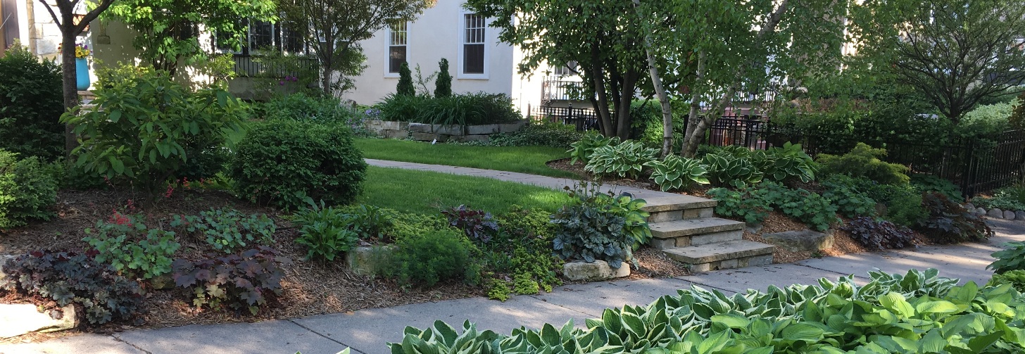 finding healing and hope in my first garden