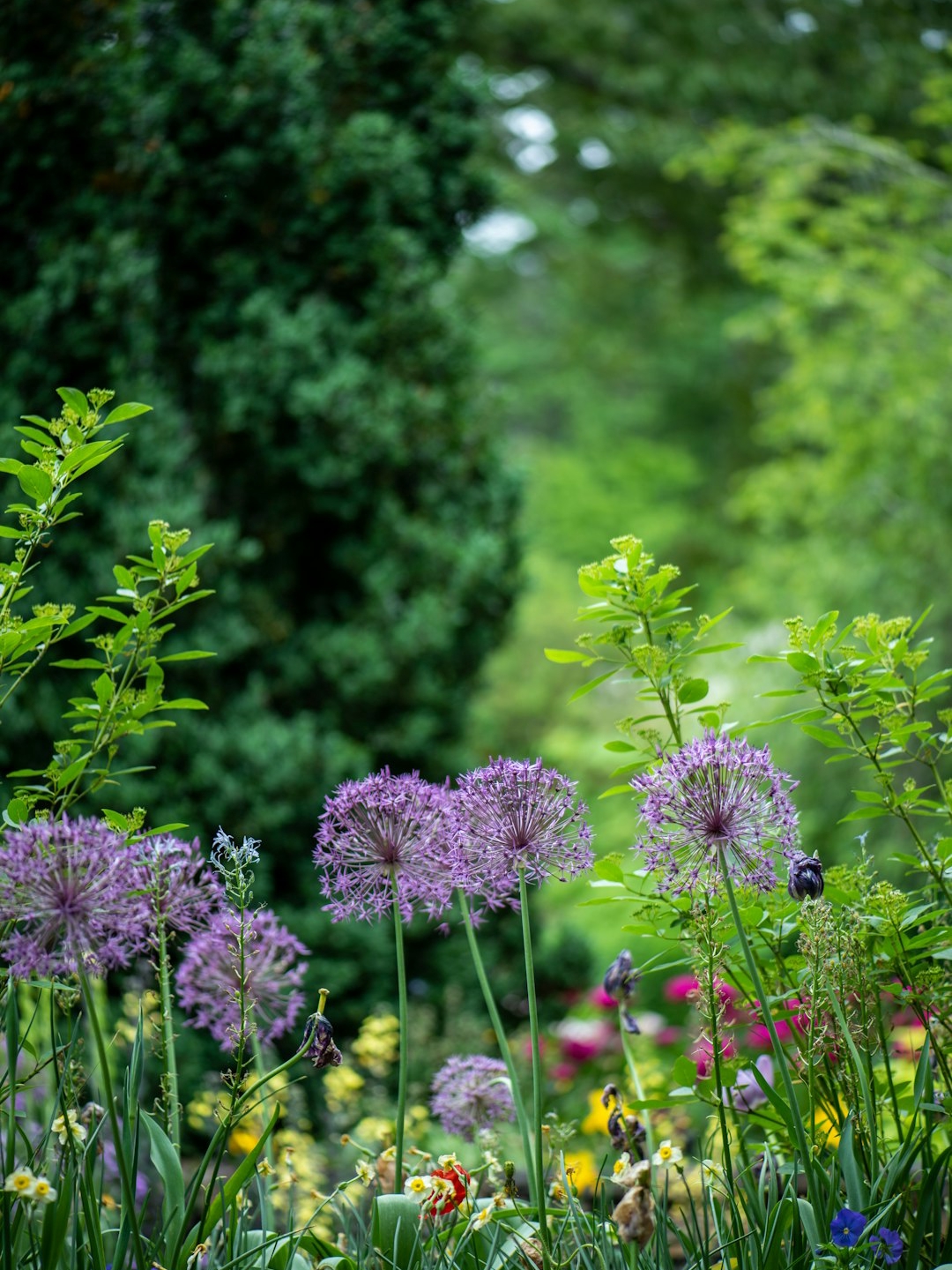 tending grandpa’s garden: tradition vs. today’s trends