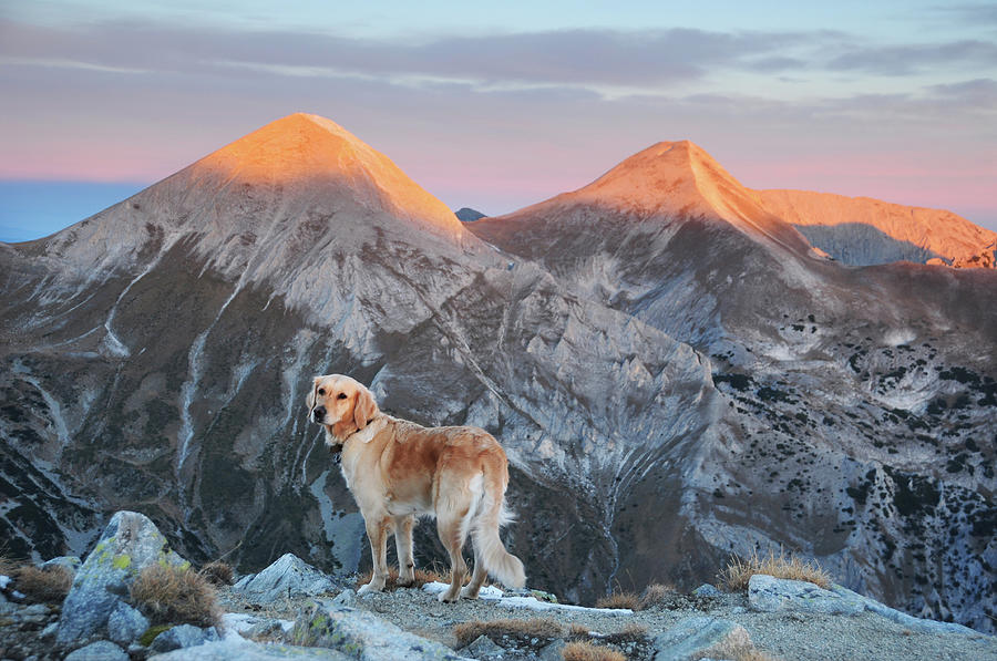 ruby’s first big hike up cascade mountain