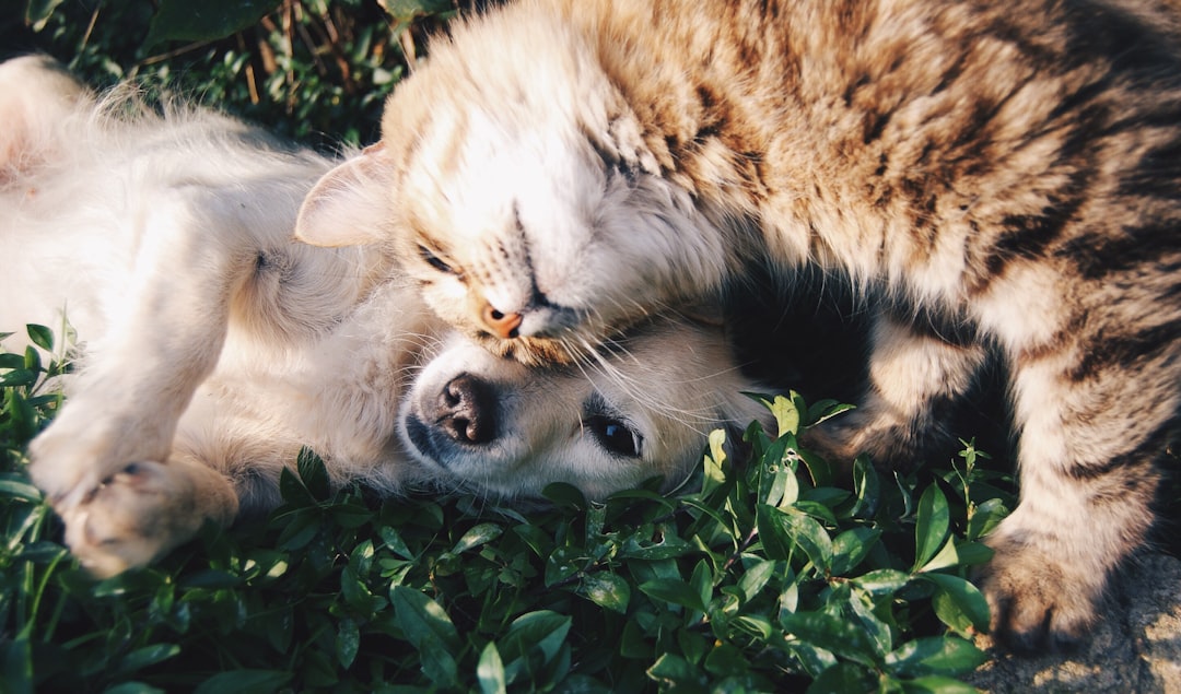 Losing My Best Friend Broke Me