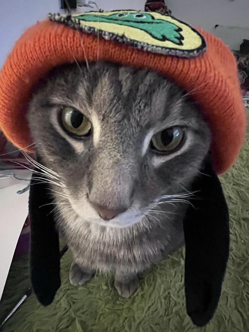 My Cat Just Outperformed My Therapist