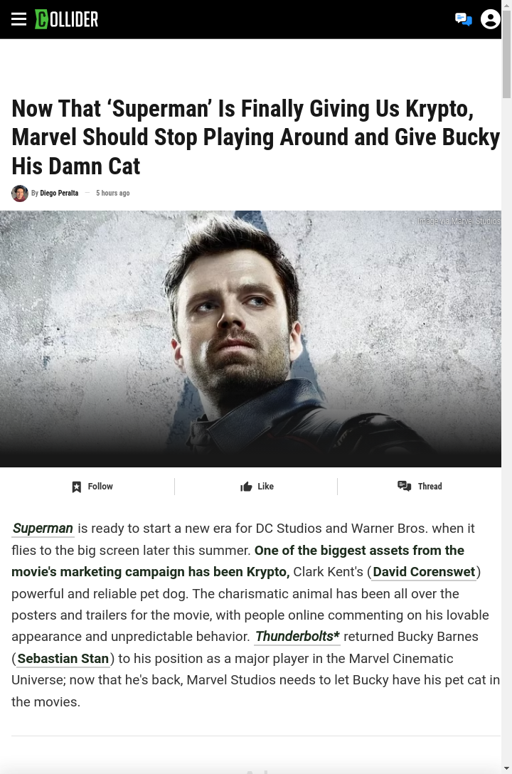 Bucky Needs His Cat Like Supes Has Krypto 🐾