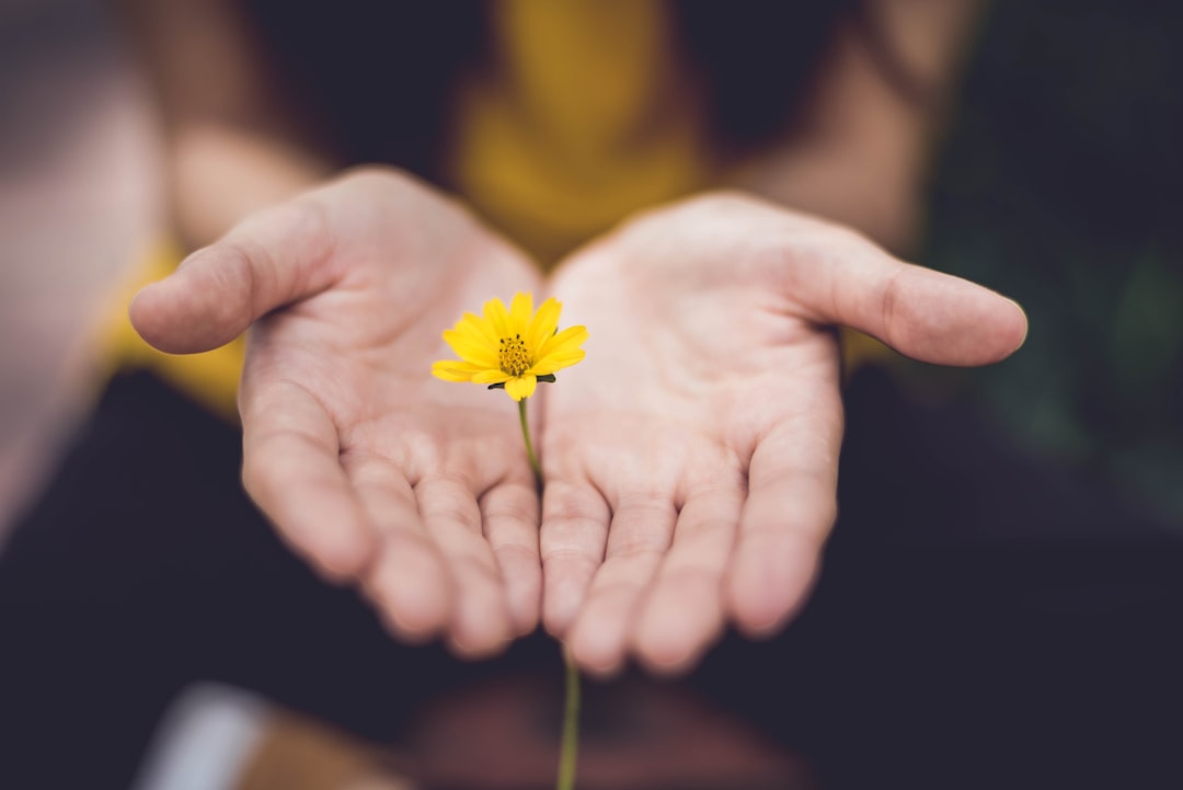 When Tragedy Strikes: Coping With the Loss of a Classmate to Type 2 Flu
