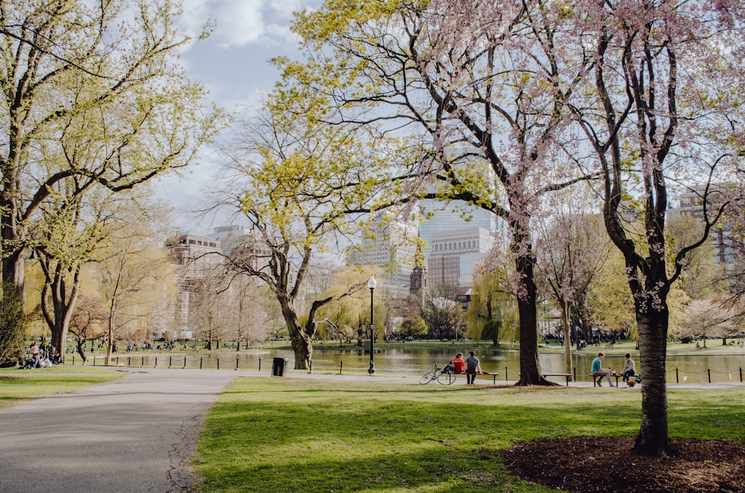 Embracing Solitude in Your 20s: Finding Peace Without a Friend Circle