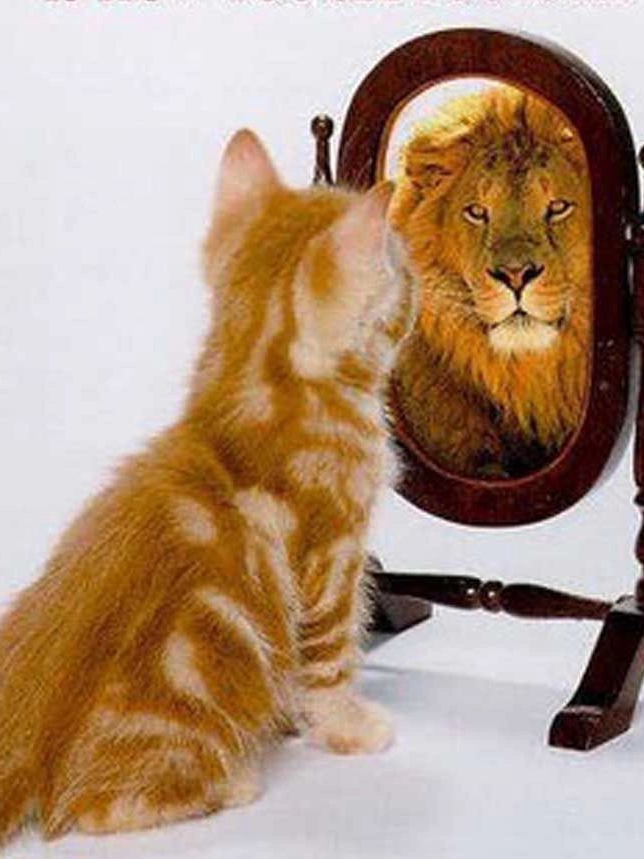 Do Looks Really Matter? My Journey With Self-Image and Acceptance