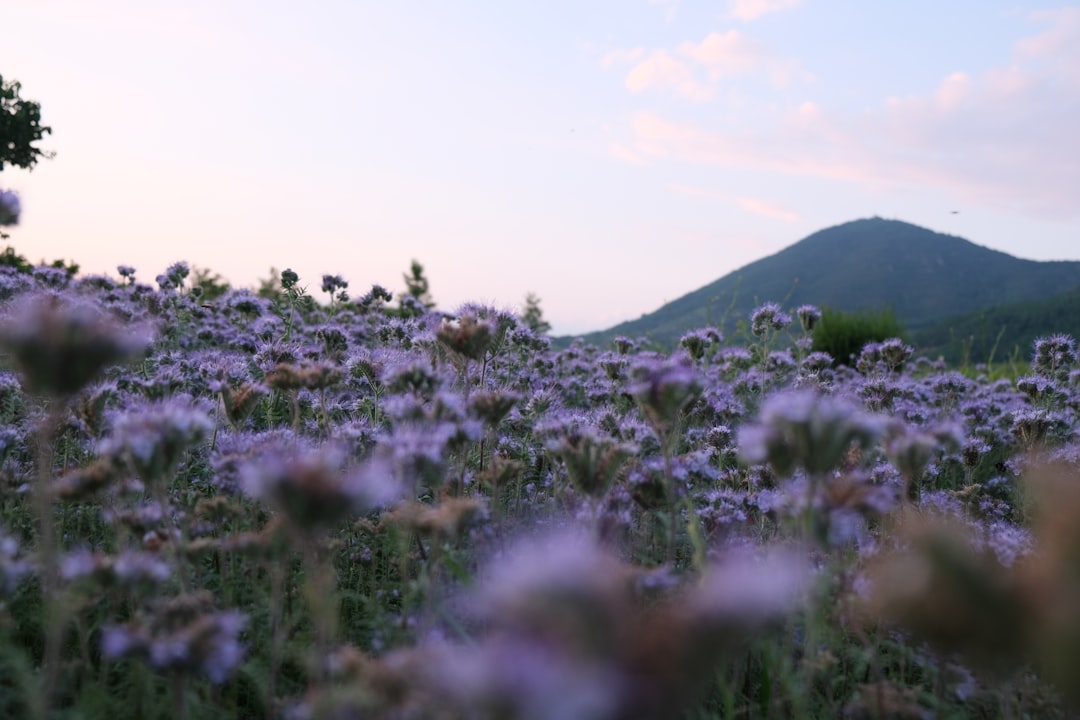 Finding Inner Calm When You Feel Unwanted