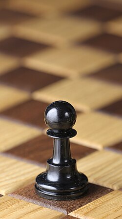 I thought I was just a pawn on the capitalist chessboard, but in fact I might not even be a pawn 🤔