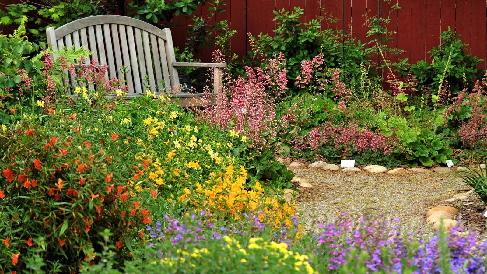 gardening for beauty, not for love: a generational divide