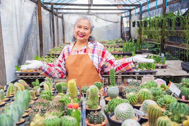 my cactus patch: old wisdom meets new garden trends