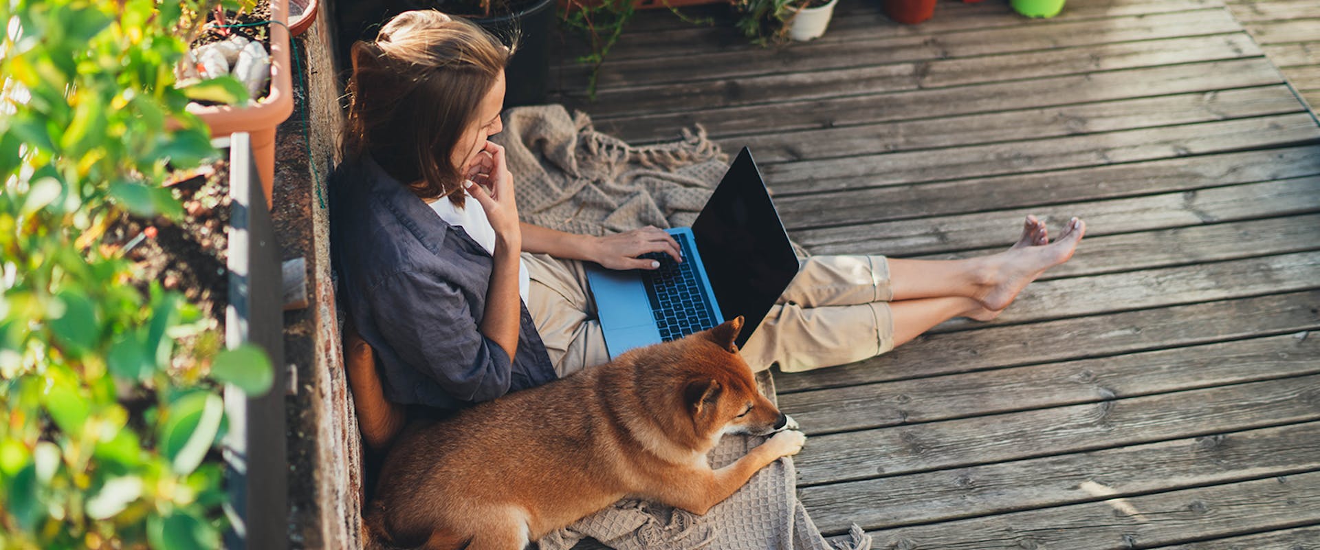 How I Dodged Rent and Office Drama by Pet Sitting