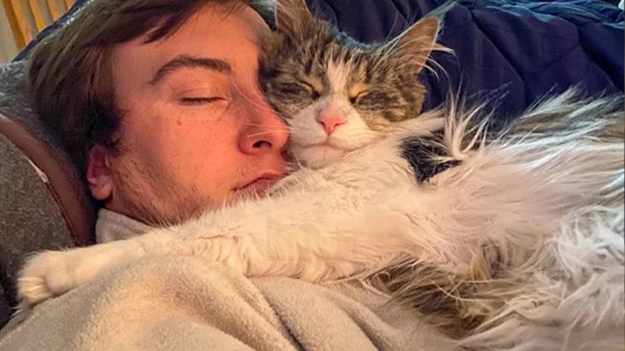 My Cat Turned Me Into a Human Pillow