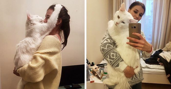 My Cat Thinks He's a Therapist