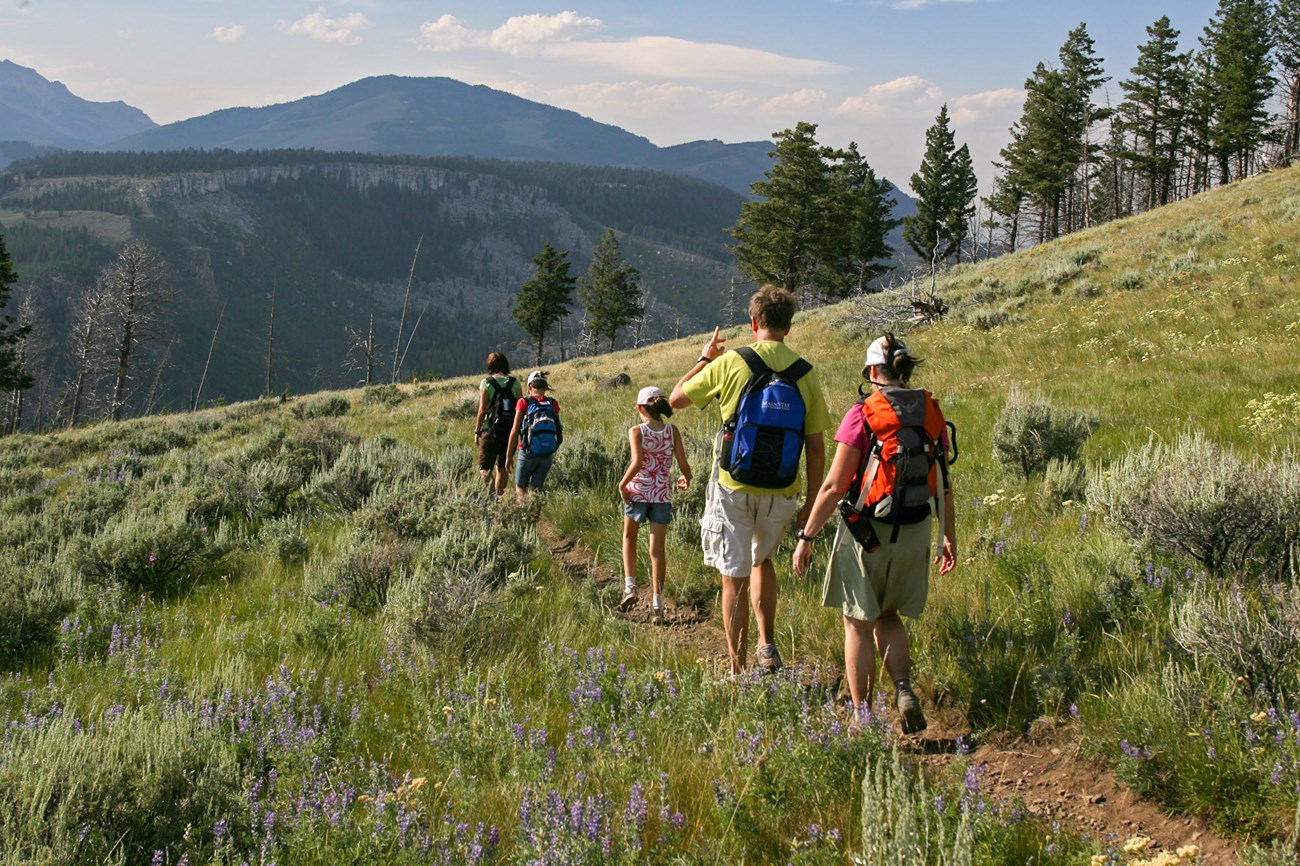 hiking with kids: worth it or just exhausting?