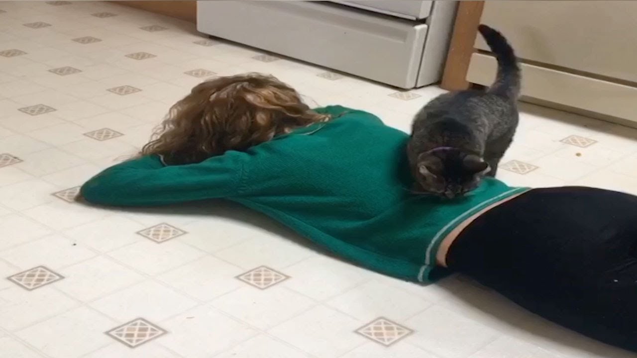 How My Cat Became My Therapist
