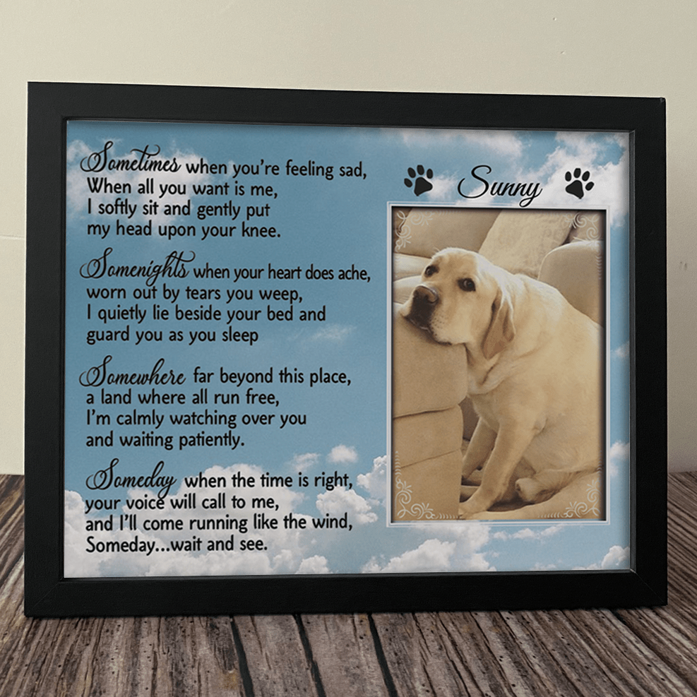 When Your Best Friend Has Four Paws and Leaves Too Soon