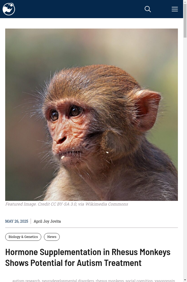 Monkey Hormone Hack Could Help Autism