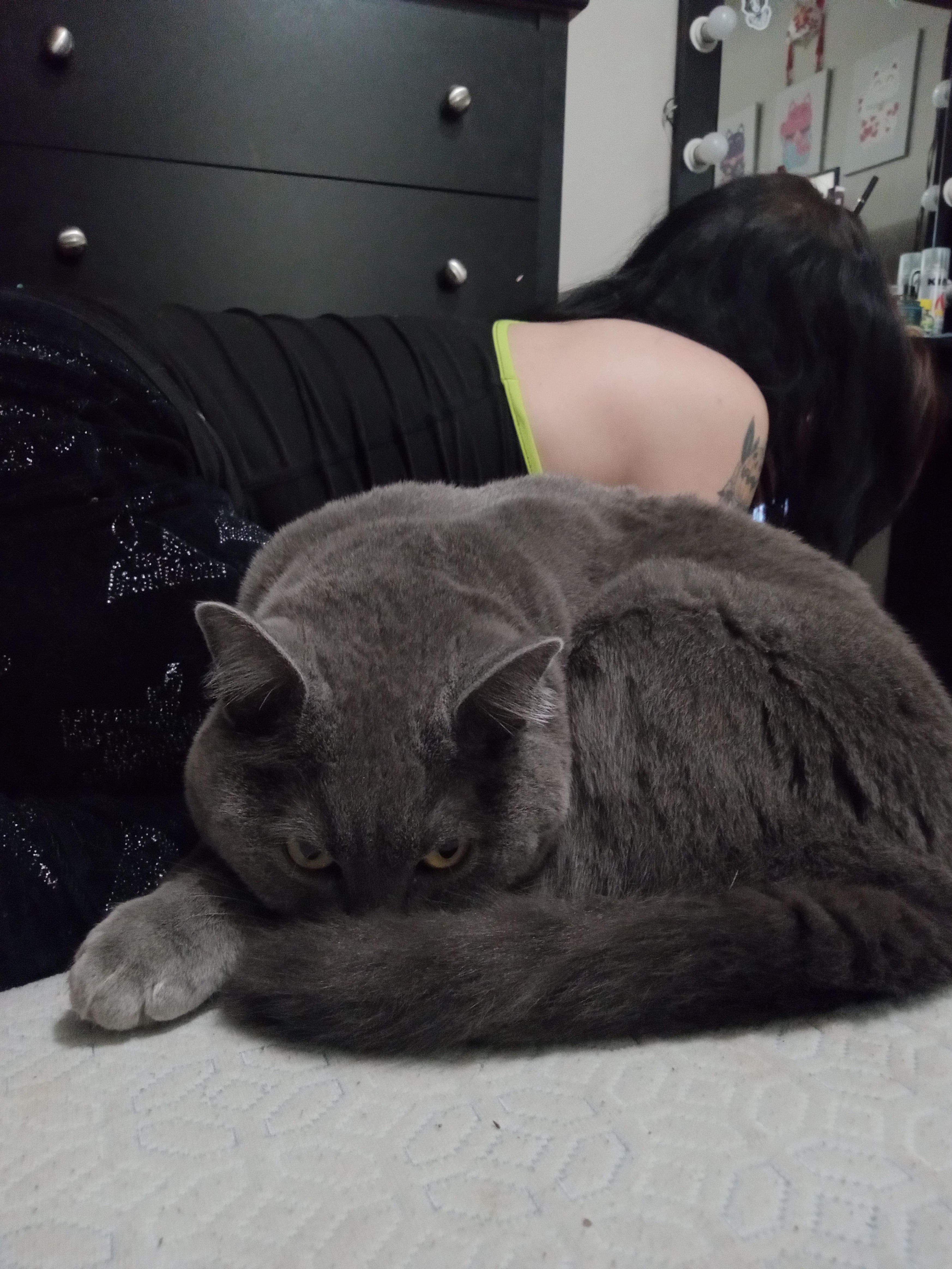 Drop Your Latest Pet Pic—No Excuses!