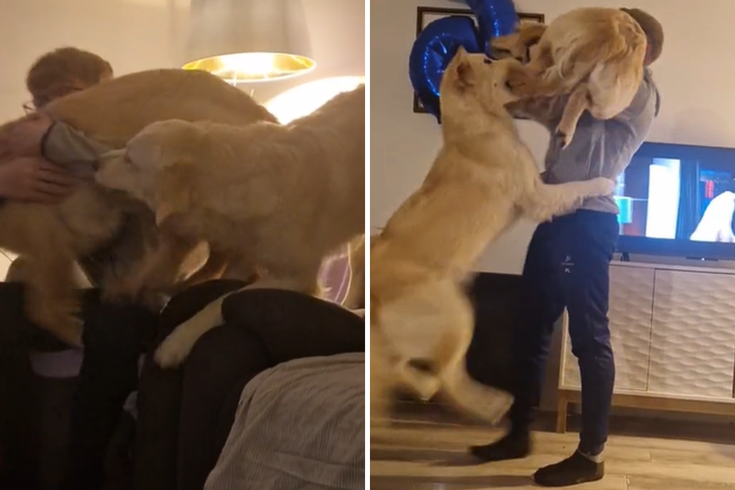 Is It Petty to Break Up Over Money Fights and Dog Drama? 🐶💸