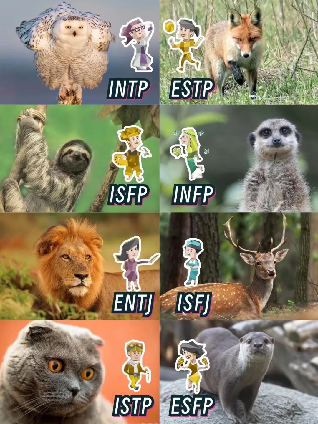 MBTI inner animal attributes 🙊Who is the sloth? Haha