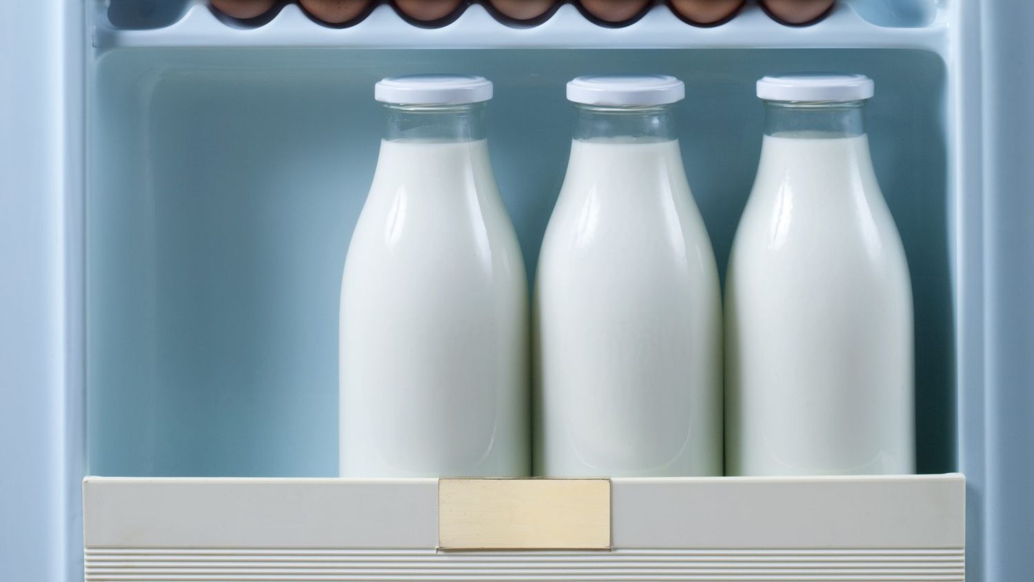 Stretching Milk Dollars: My Top Tips for Making Milk Last Longer (and Save More!)