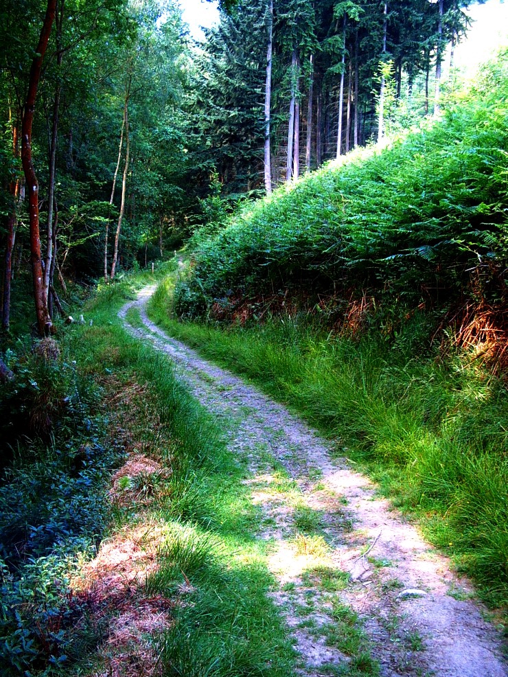 Life’s Path Isn’t Always Straight—And That’s Okay